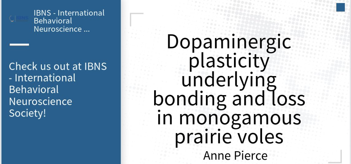 Anne Pierce tweet media