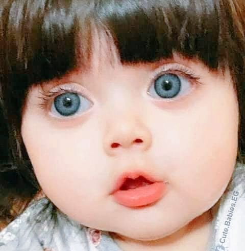 allamashhot's tweet photo. ❤ حين اتكلم عن الجمال سأضع صورتها 😗☺❤ https://t.co/clbd7ehPw2