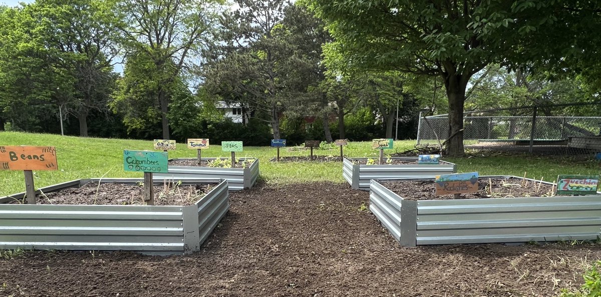 Our plants are finally in! We can’t wait to watch them grow! @EcoSchoolsTDSB @tdsb #foodgarden