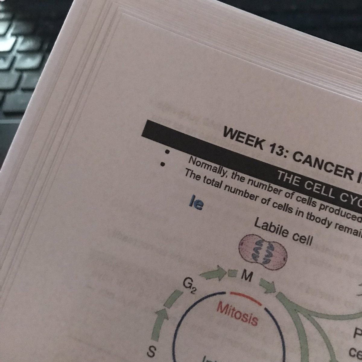 httpsbsn's tweet image. just printed my reviewer! sana maaral ko 'tong 34 pages b4 exam this coming sat 😬