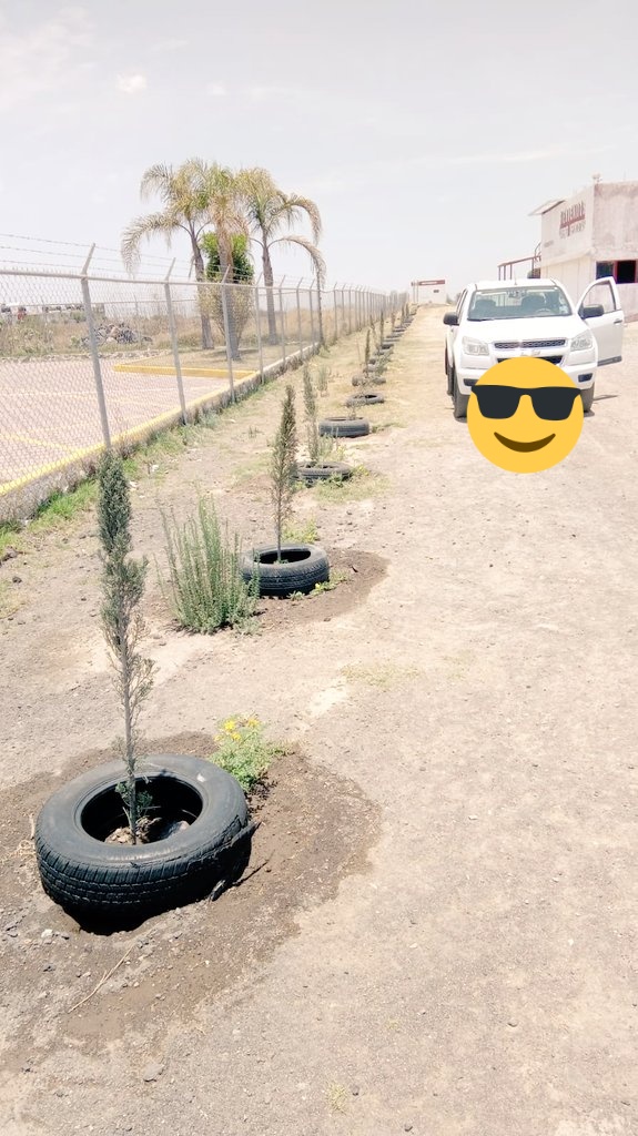 asoc_a's tweet photo. Ciudadanía @asoc_a puede ser un complemento a la #actividad de municipio  @CuautlancinGob si este lo permite 😁 #40llantas #donadas y colocadas para proteger #arbolitos 🌱por #ciudadaniaActiva en #deportivoSanJuan @CuautlancinGob #DiaMundialDelMedioAmbiente https://t.co/NU539oB4Ku