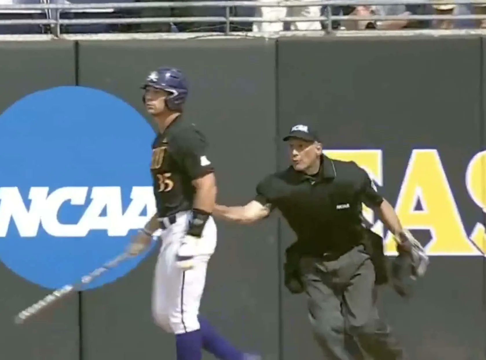 Barstool Sports on Twitter "This Umpire Who Stopped a Home Run Pimp