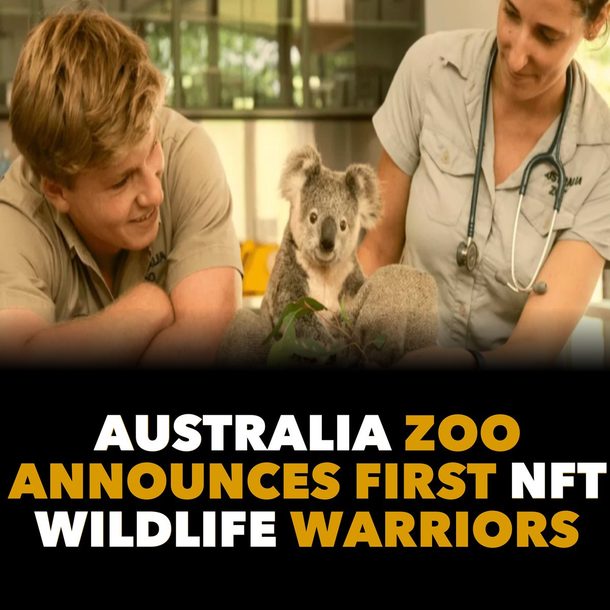 Australia Zoo announces first ever #NFT Wildlife Warriors for 20th Anniversary! 🐨