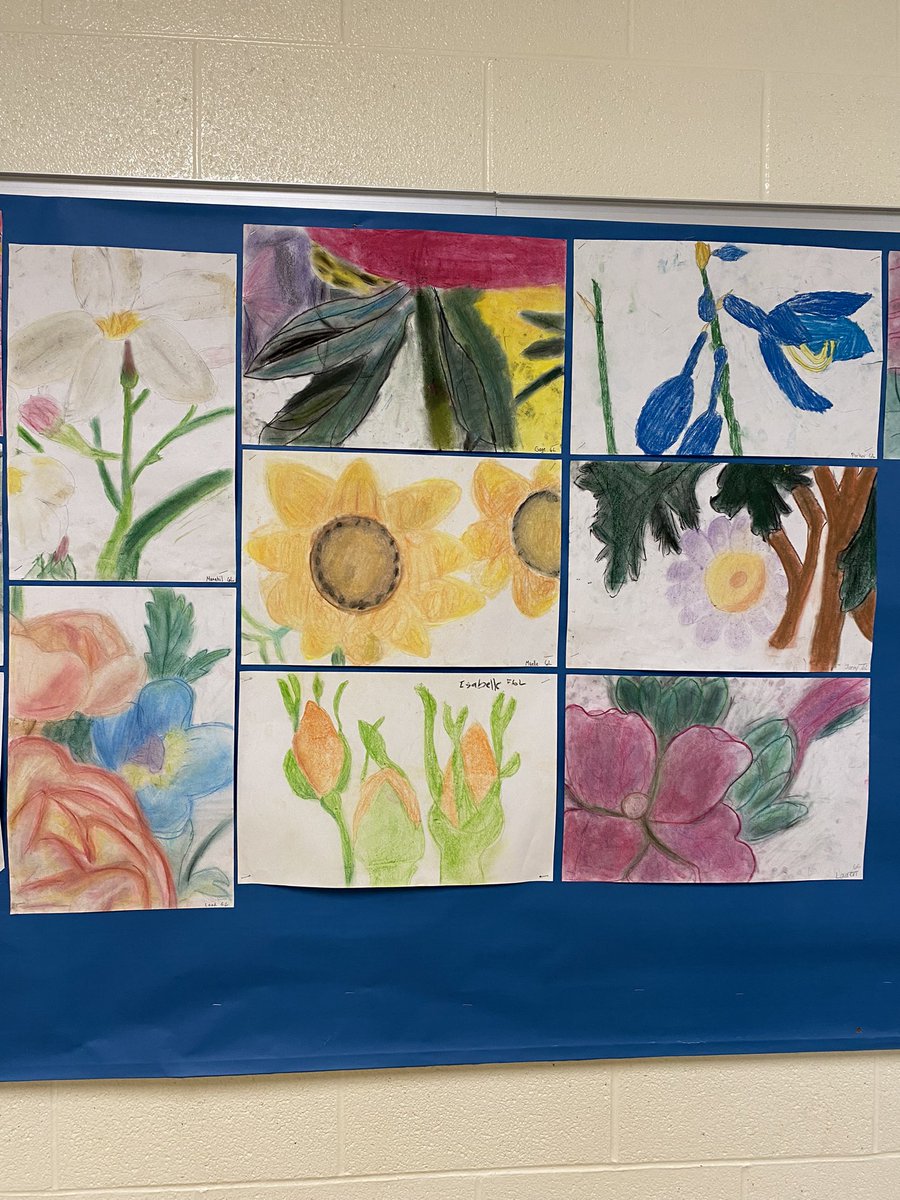 Bring on the warm weather with these beautiful flower closeups inspired by Georgia O’Keeffe <a href="/TVAelementary/">Tecumseh Vista Elem</a>. The grade 6s used a reference picture and chalk pastels to make them so realistic 🌸🌺🌻