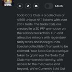 Photo by Soda Cat Club (@SodaCatClub)