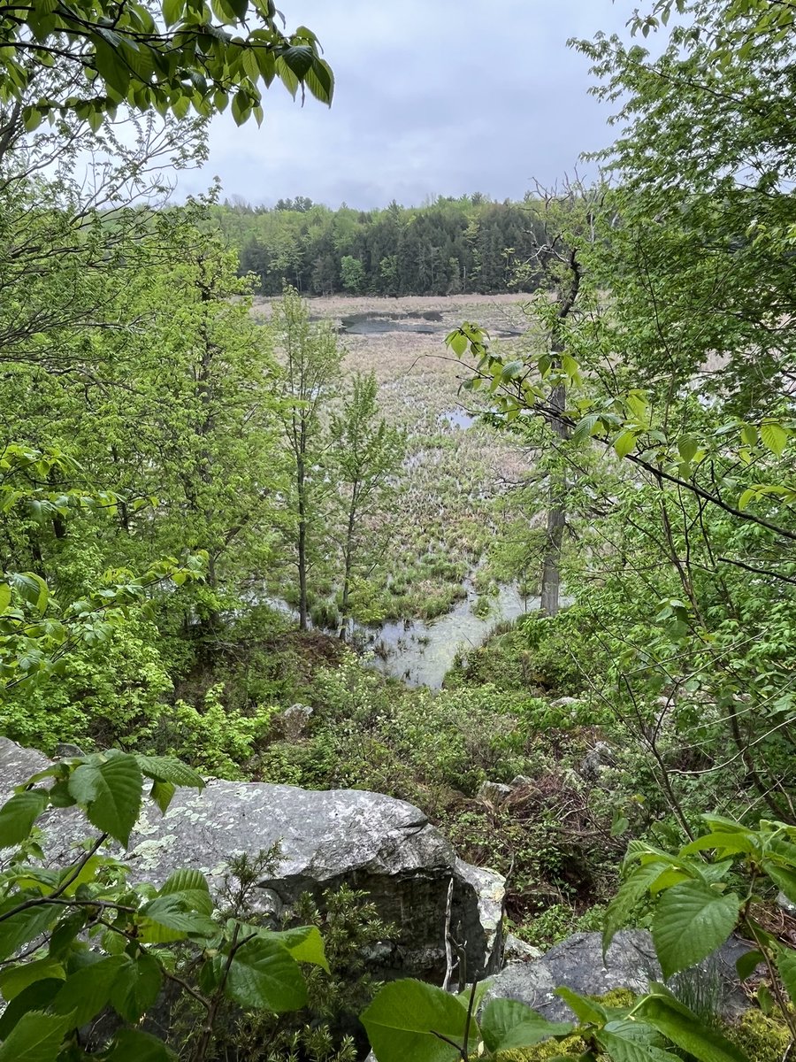miishagoliin's tweet photo. good to be out in nature https://t.co/126sR0d0rK