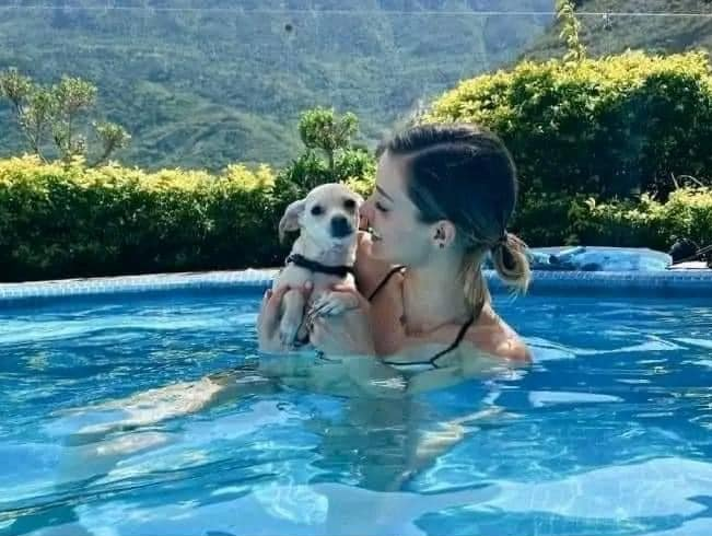 lazaroarises's tweet photo. Cuando quieras lavar los trastes o te quieras bañar o de perdis jalar la cadena del inodoro recuerda, este perrito que ves aquí y que vive en Nuevo León tiene mas agua que tu, pero fuiste Tú quien decidió eso. https://t.co/UQwYklvLHA
