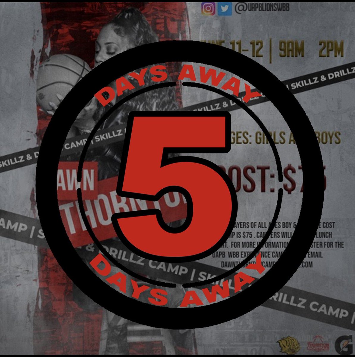 DivaCoachAAMU's tweet image. 📢📢📢
Just5⃣ days away from our Skills/Drillz camp!!

🚨🚨If you're looking to 𝐂𝐎𝐌𝐏𝐄𝐓𝐄, learn from your 𝐅𝐀𝐕𝐎𝐑𝐈𝐓𝐄 coaches, and have some 🅵🆄🅽..Don't forget to click the link and spend the WEEKEND with us.🚨🚨
#UAPB #870 #CampWEEK!