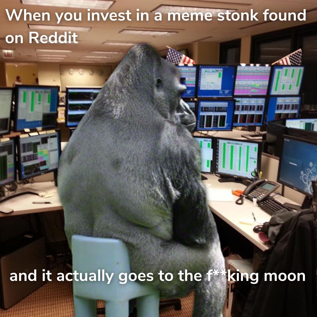 TradeZing's tweet photo. The internet remains undefeated.

#stockmarket #stocks #invest #stonks #web3 https://t.co/Xhdcw96xES