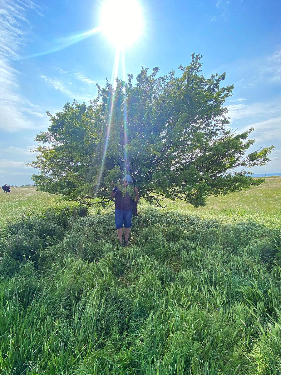 Thank you very much for all birthday wishes 🙏🏼🎂🎉 #birthday 😎🎶 #beautifulday