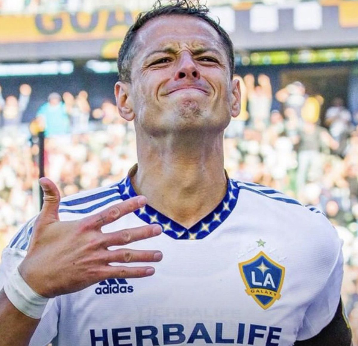 AxelGonzalezGut's tweet photo. 🤨 ¿El Chicharito es la solución? 

Actualmente la delantera de Mexico ha dejado uno los peores números en cuanto a goles a favor antes del mundial, Raúl Jiménez no ha sido efectivo y es por eso que la afición pide a Javier Hernández como la salvación de cara al mundial. https://t.co/ejZ2MEcVMt