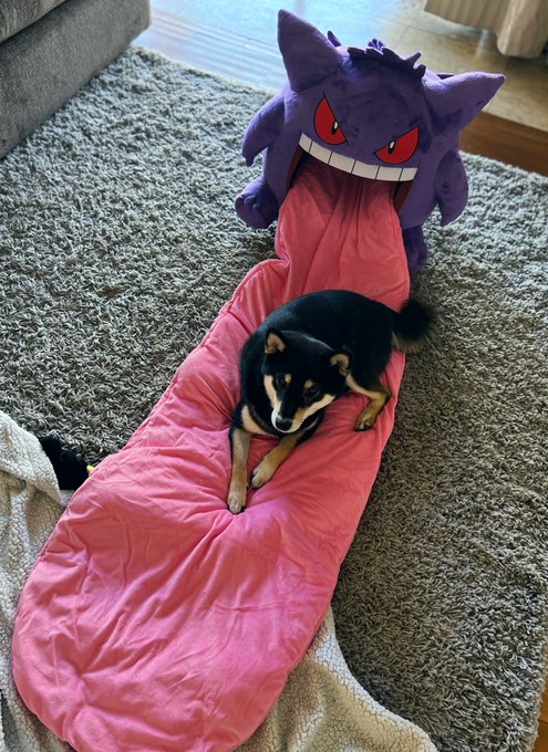 1 pic. He loves it 🥹 https://t.co/loXxzpU70D