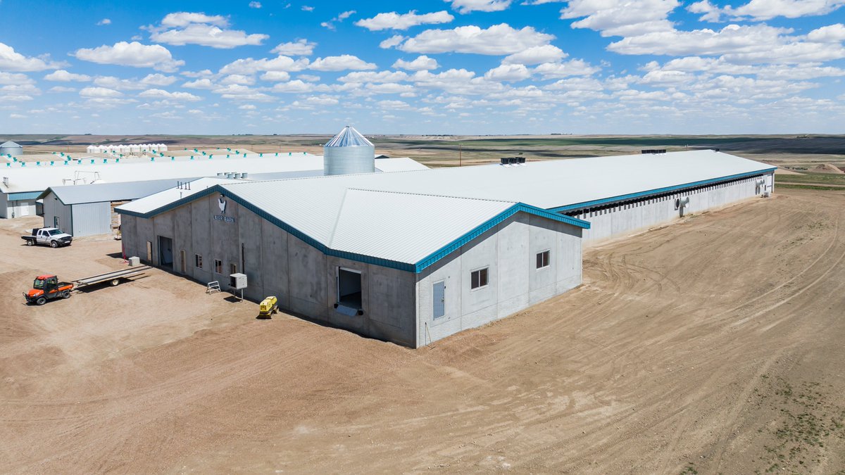 WestcoLtd's tweet photo. Anyone looking to build a Layer Barn? We just finished this up for our clients and it looks great.
#designbuildbetter #precastbuilding #structualdesign #buildingAB https://t.co/ddb4Y5UOYT