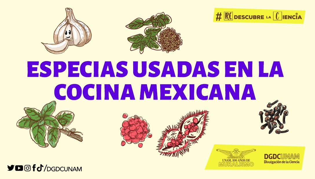 DGDCUNAM's tweet photo. La cocina mexicana es una joya en la corona de la gastronomía mundial.🇲🇽
Distintas especias pueden aportar un toque único que resulta en una explosión de sabor en nuestra boca.

¡#RedescubreLaCiencia con algunas de las especias utilizadas en la cocina mexicana! 
👇🧵 https://t.co/bzsNSuIwGd