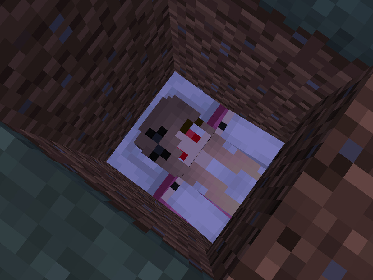SpookieSheep's tweet photo. When you annoy your friend so much while playing Minecraft that they bury themself underground to not have to put up with you 😅🤣

#Minecraft #pettysmp https://t.co/t1xvVP0JNv