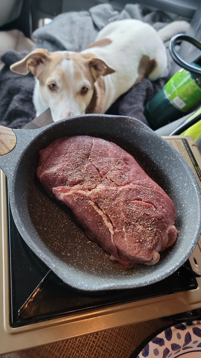 MTDrivers's tweet photo. Sirloin for two in the truck @altonbrown @guarnaschelli @bflay this steak was bought from a Kansas meat processor, Butchered from a local Kansas cow, and is now being cooked in a semi-truck by a hillbilly truck driver. Hopefully to a perfect medium rare. https://t.co/slqjBQedGf