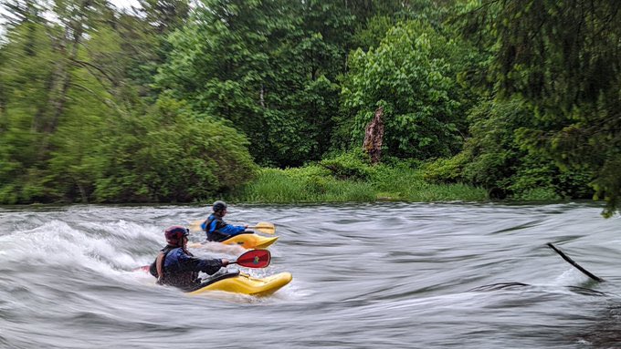 SWatson_BCH's tweet photo. For expert kayakers @Raftinglife @VIWPS the Puntledge River flows about 70-80 m3/s from dam thru Thursday &amp; then potentially around 90 m3/s for Friday-Sunday. I’ll update you on Thursday.
All others please stay away from the river. #ComoxValley 
(Pics from today from Dave.) https://t.co/ZzzGdEiHXV