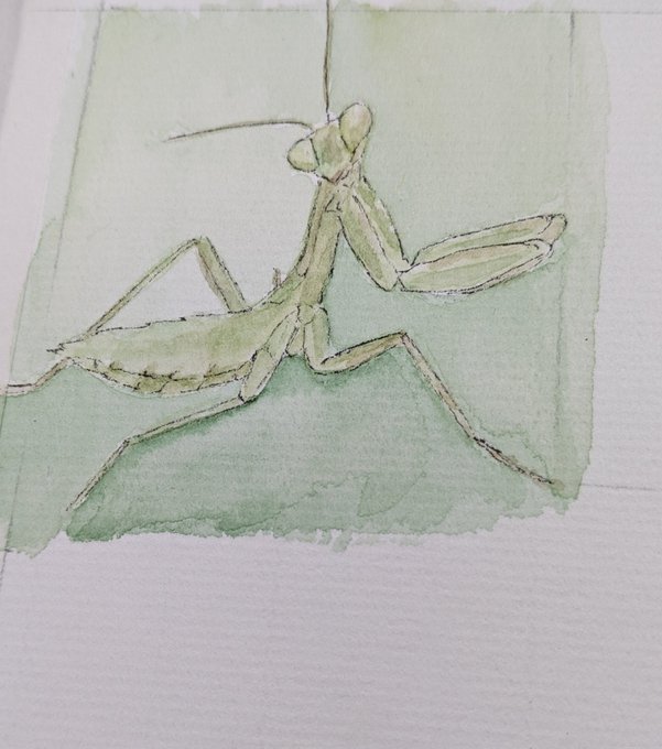 カマキリ 高画質 のtwitterイラスト検索結果 カマキリ 高画質 のtwitterイラスト検索結果