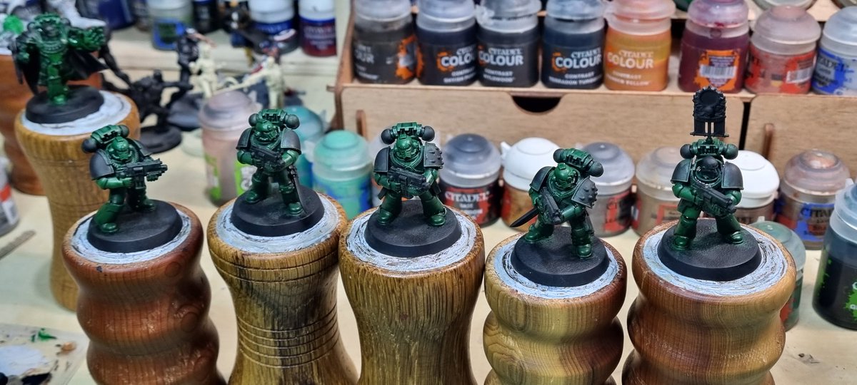 splatt76's tweet photo. Not jumping on the band wagon at all..... salamanders for #30K https://t.co/js5qMyL53U