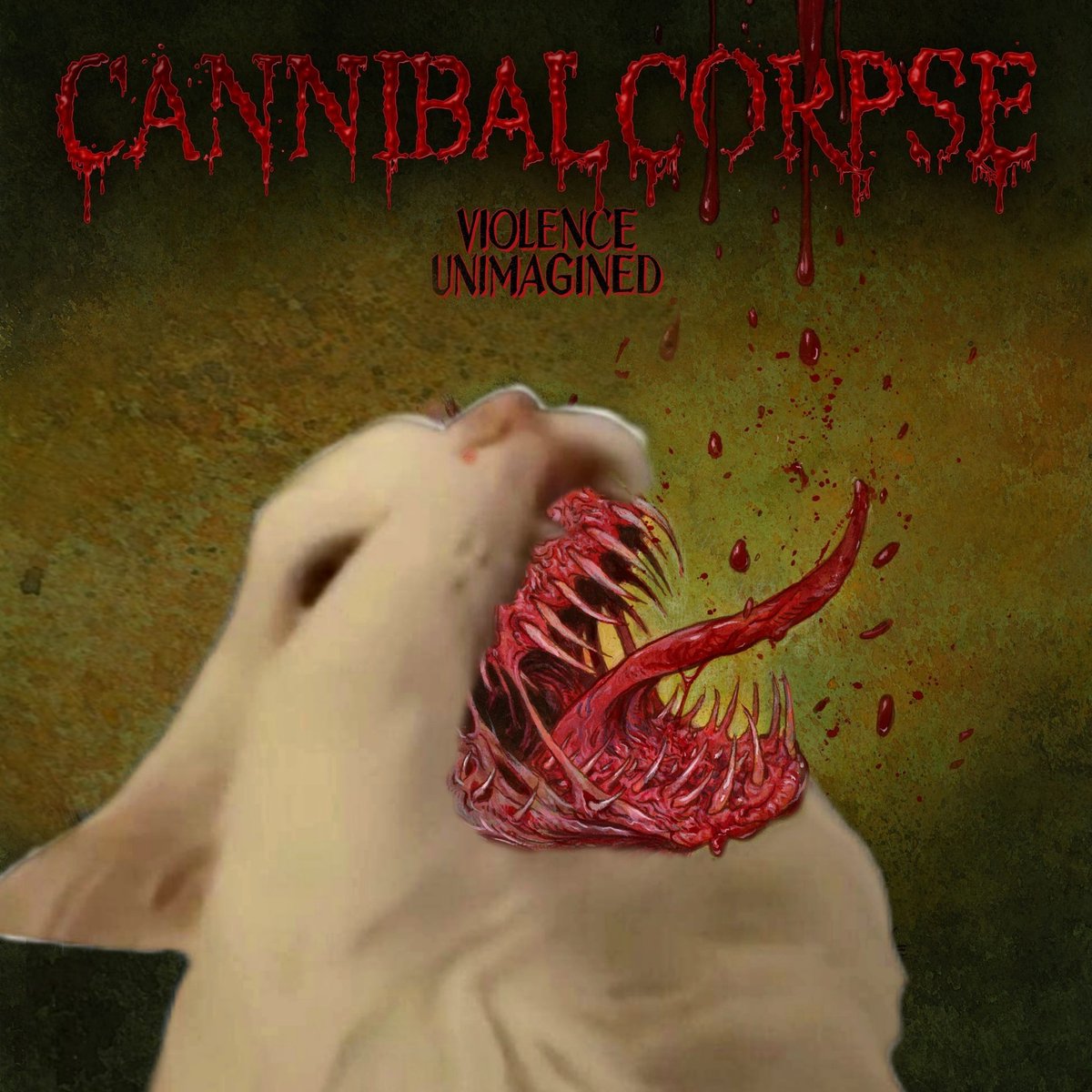 Cat Nibble Corpse