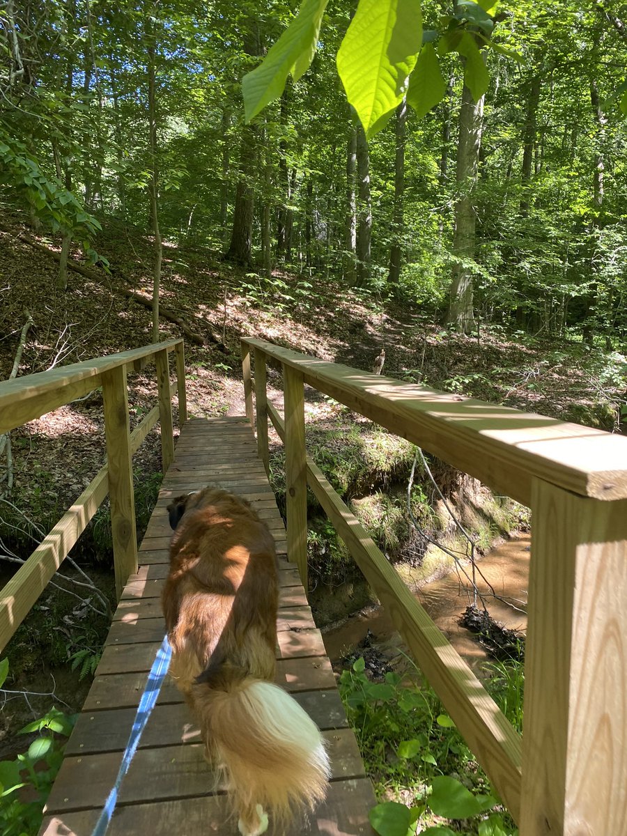 HFallica's tweet photo. Beautiful weather for enjoying the outdoors! There are so many hiking trails to enjoy in Calvert Co. We hiked 4 miles on the Holly Hill trail loop before the ACLT event this weekend. Dexter always leads the way!  #aclt #outdoorfun https://t.co/0W2ZaqNCxr