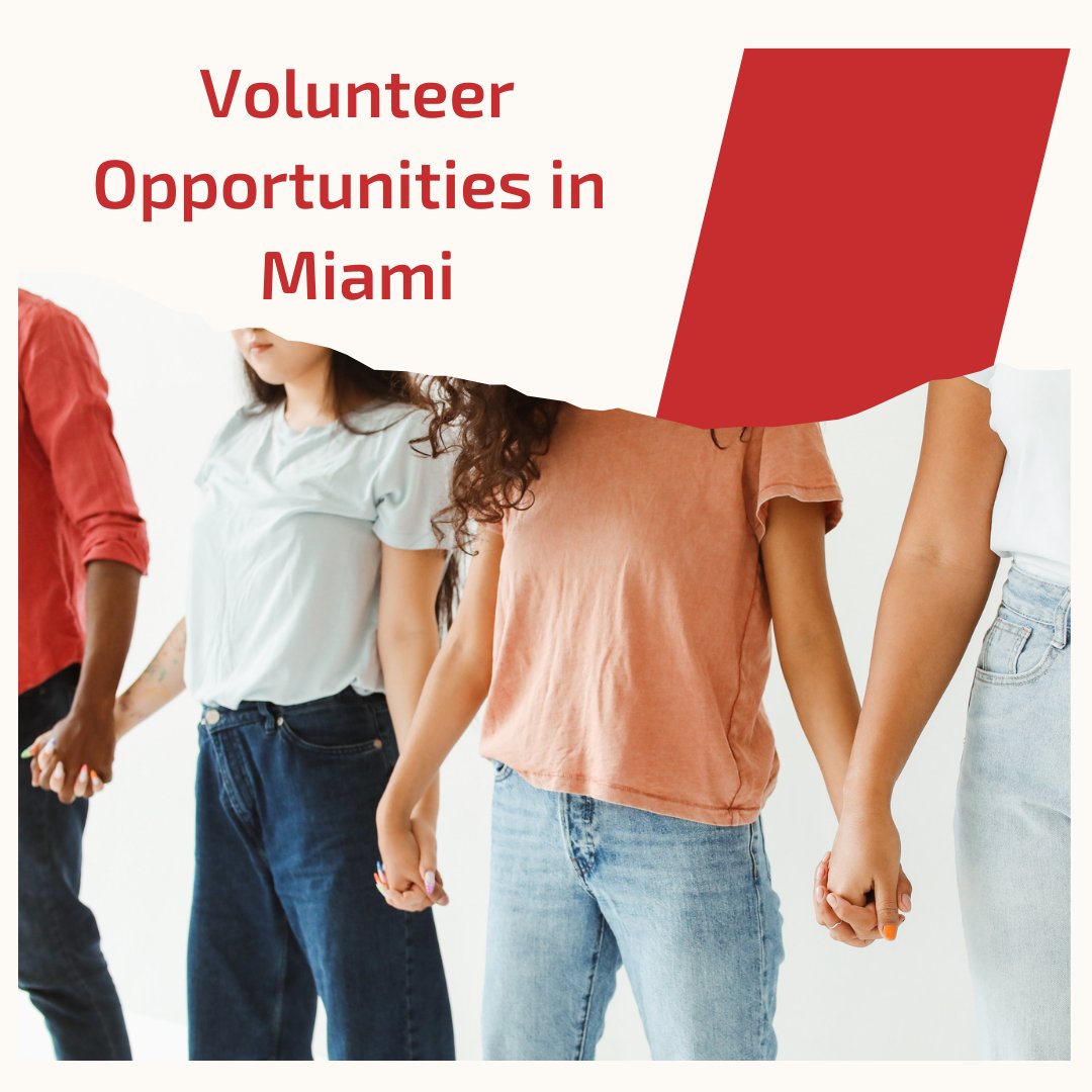 UD_Foundation's tweet photo. Want to volunteer in Miami and don't know where to start? Here are a few amazing causes you can start supporting today! 🤝  @NAMIMiami @SalArmyFlorida @HopeForMiami @_RONALDMCDONALD 

#UDF #UDfoundation #Udonishaslemfoundation #VolunteerinMiami #Volunteermiami https://t.co/mm5nXGBytp