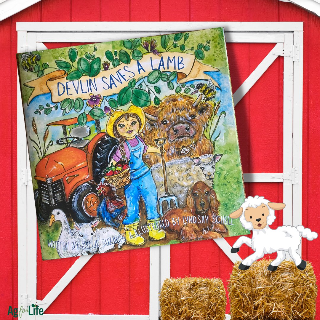 4AgForLife's tweet photo. Calling all Alberta K-3 Teachers! 🎙
We are excited to announce we have a limited number of Devlin Saves a Lamb books available for your students. Order your free class set today: https://t.co/KUE6QNHGrN https://t.co/Y0ngdDvIno