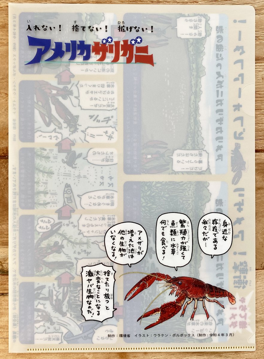 環境省の【入れない!捨てない!拡げない!🦞アメリカザリガニ】のお仕事で描いた絵が、クリアファイルになりました。片面違いで全2種類です。
https://t.co/2fYySF4udk