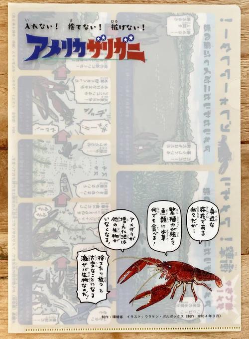 環境省の【入れない!捨てない!拡げない!🦞アメリカザリガニ】のお仕事で描いた絵が、クリアファイルになりました。片面違いで全2種類です。

https://t.co/2fYySF4udk 