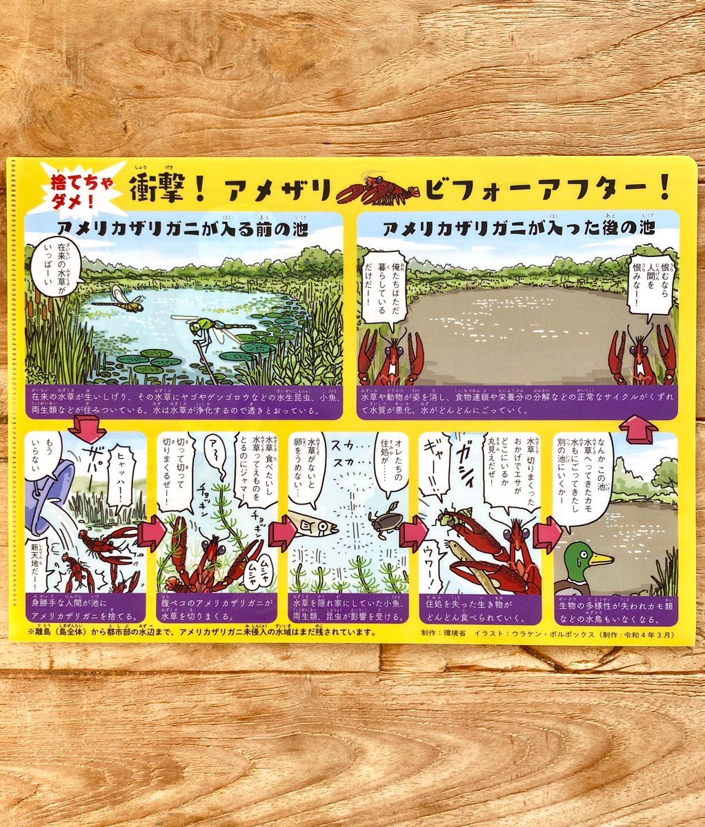 環境省の【入れない!捨てない!拡げない!🦞アメリカザリガニ】のお仕事で描いた絵が、クリアファイルになりました。片面違いで全2種類です。
https://t.co/2fYySF4udk