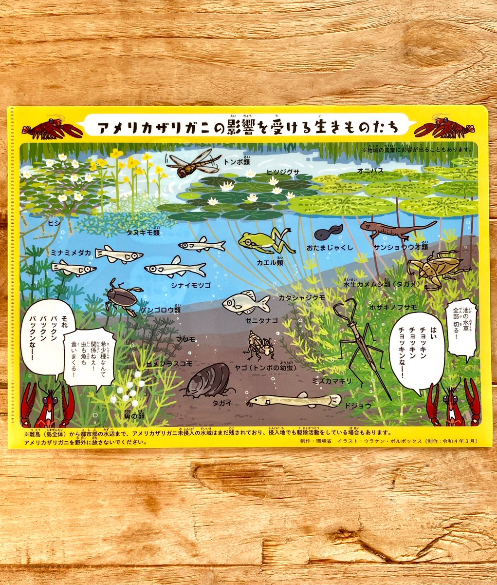 環境省の【入れない!捨てない!拡げない!🦞アメリカザリガニ】のお仕事で描いた絵が、クリアファイルになりました。片面違いで全2種類です。
https://t.co/2fYySF4udk