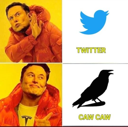 Holderscaws's tweet photo. #cawarmy #cawtoken #cawcoin #caw https://t.co/3ohZdrsLep