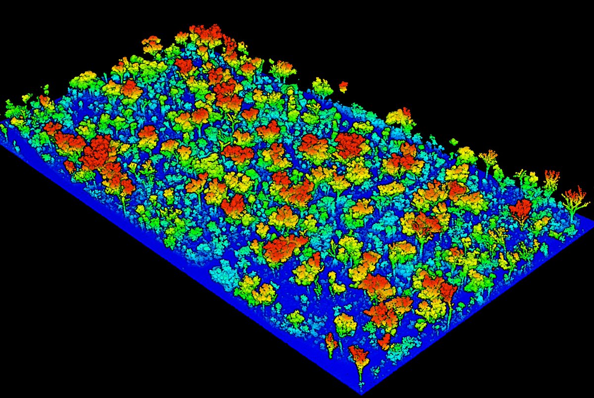 Shaun Levick tweet media