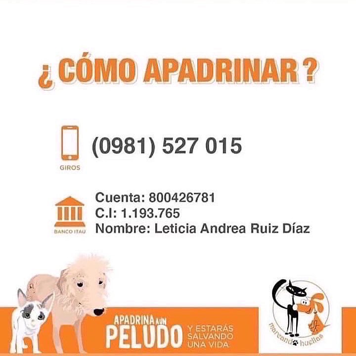 Hace días nos piden ayuda para esta perra como ven ya tiene los huesos expuestos 💔Solo podemos asumir un caso así si juntamos aprox 1.400.000 para estudios,placas etc y poder darle entrada a una vete de urgencias. Todo suma los datos para aportes están en la imagen,por fa Rt 🙏