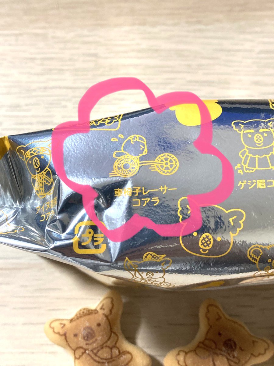 ご報告】 数か月かけ……ついに、ついに出会えました！！ 車いすレーサー