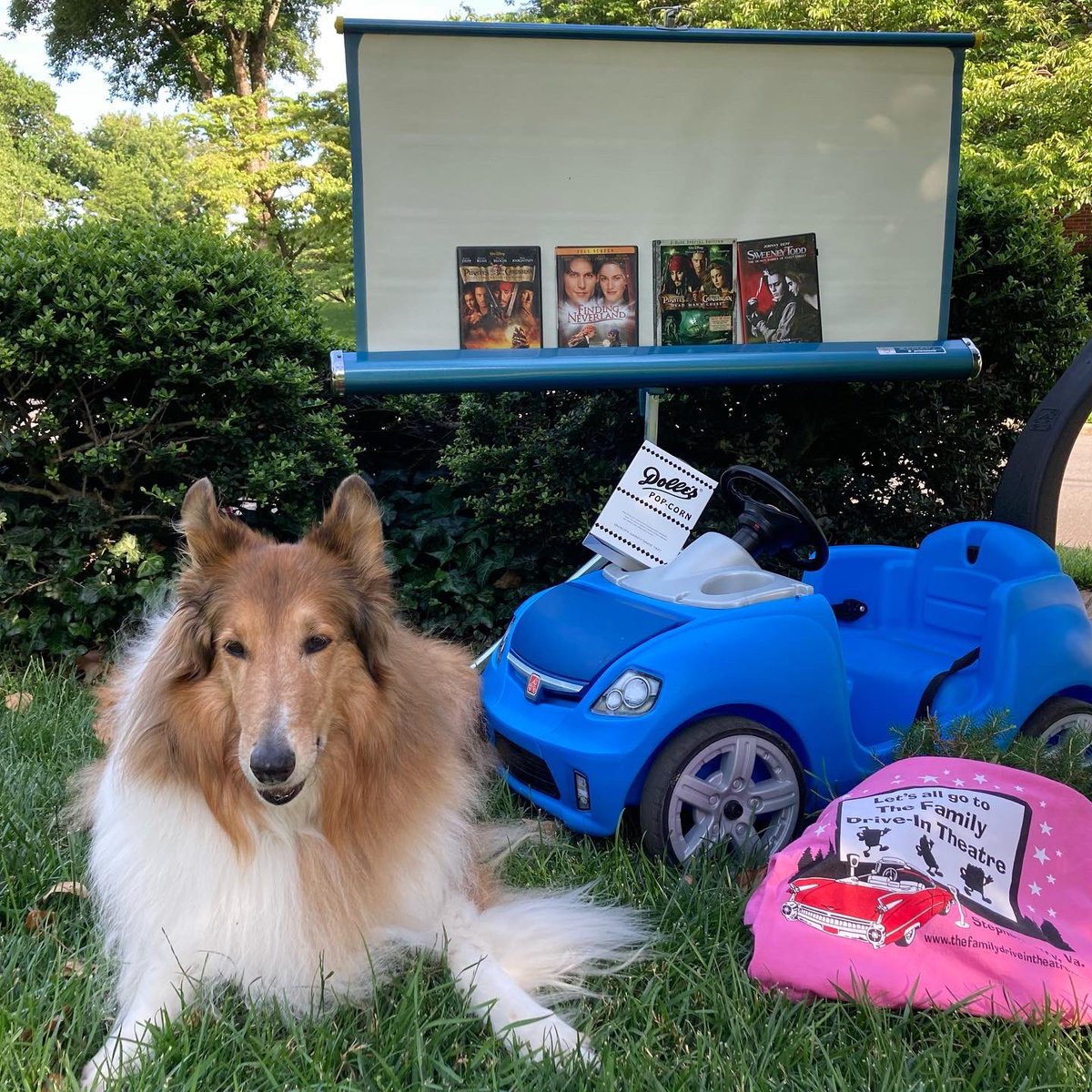 CollieCrusader's tweet photo. π π₯ πΏ Borrowed a friendβs car so I could enjoy a #doublefeature at the #driveinmovie tonight to celebrate #DriveInMovieDay π₯π
#driveintheater #driveinmovienight #vintagemoviescreen #vintageprojectorscreen #collie #roughcollie https://t.co/MnoLApToYJ