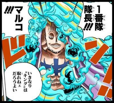 ワンピース マルコの懸賞金額は妥当 能力や戦闘力を紹介 Selvy