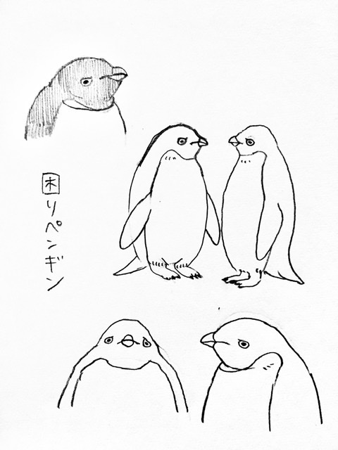 嫌な顔のペンギンとっても良いですね〜〜〜 