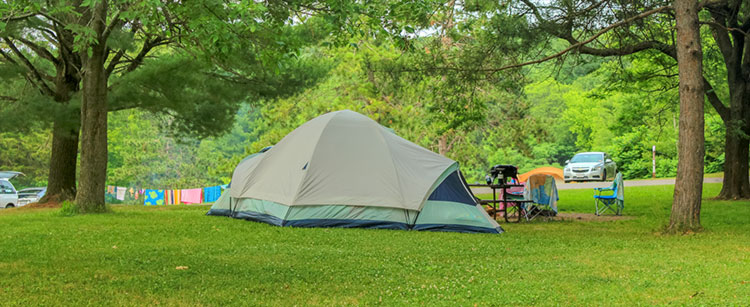 Campingfhiking's tweet photo. What could be smarter than going to camping in a deserted forest in a global pandemic time? However, even without such a pandemic, the smartest thing to do would be camping again!” – https://t.co/gzDzQoM91S