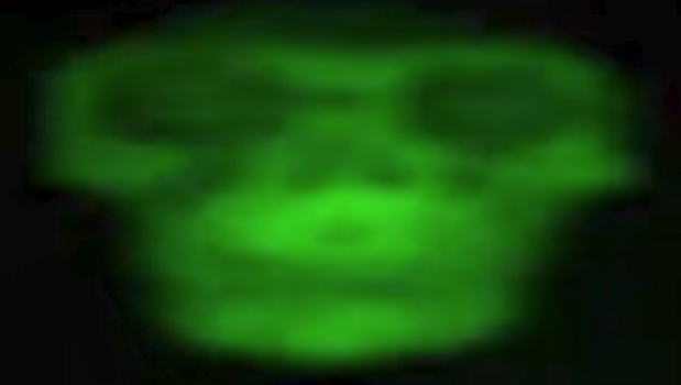 dani tweet media