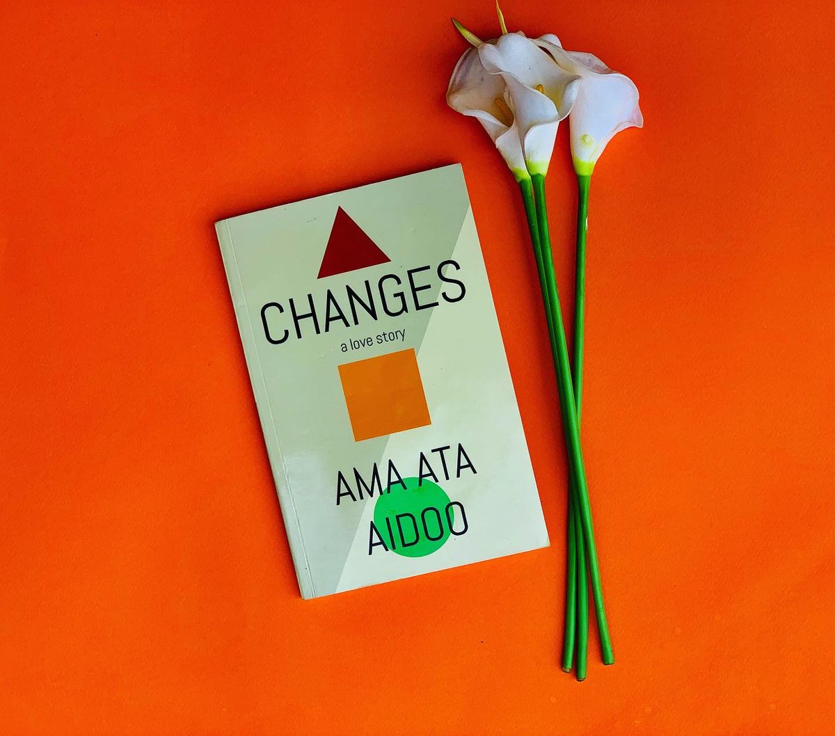 AbenaMaryann's tweet photo. Changes by Ama Ata Aidoo 

Short but relevant. 
Ama Ata Aidoo book Changes discusses some very important themes. https://t.co/F8N06DFa3o
