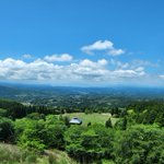 ツイートに含まれる画像