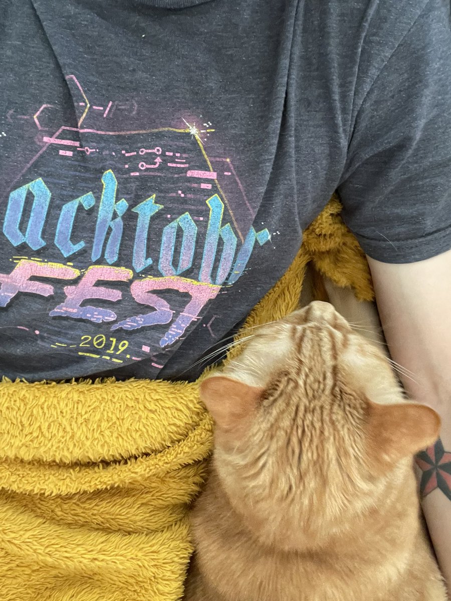 Das Weckerkommando heute wieder überpünktlich...  
#Caturday #CatsOnTwitter #cat