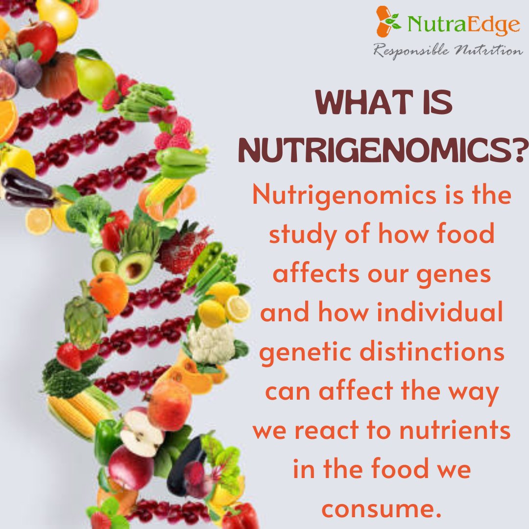 nutraedge01's tweet photo. Welcome to the world of Nutrigenomics.🥗🧬
.
.
To Learn more about our programs, please visit our website.
Link in bio

#pcos #nutrigenomics #nutrigenomicscience #nutrigenomicsatwork #nutrition #healthyfood #genetic #genes #healthylifestyle #diabetes #hypertension https://t.co/tD7R5Kix00