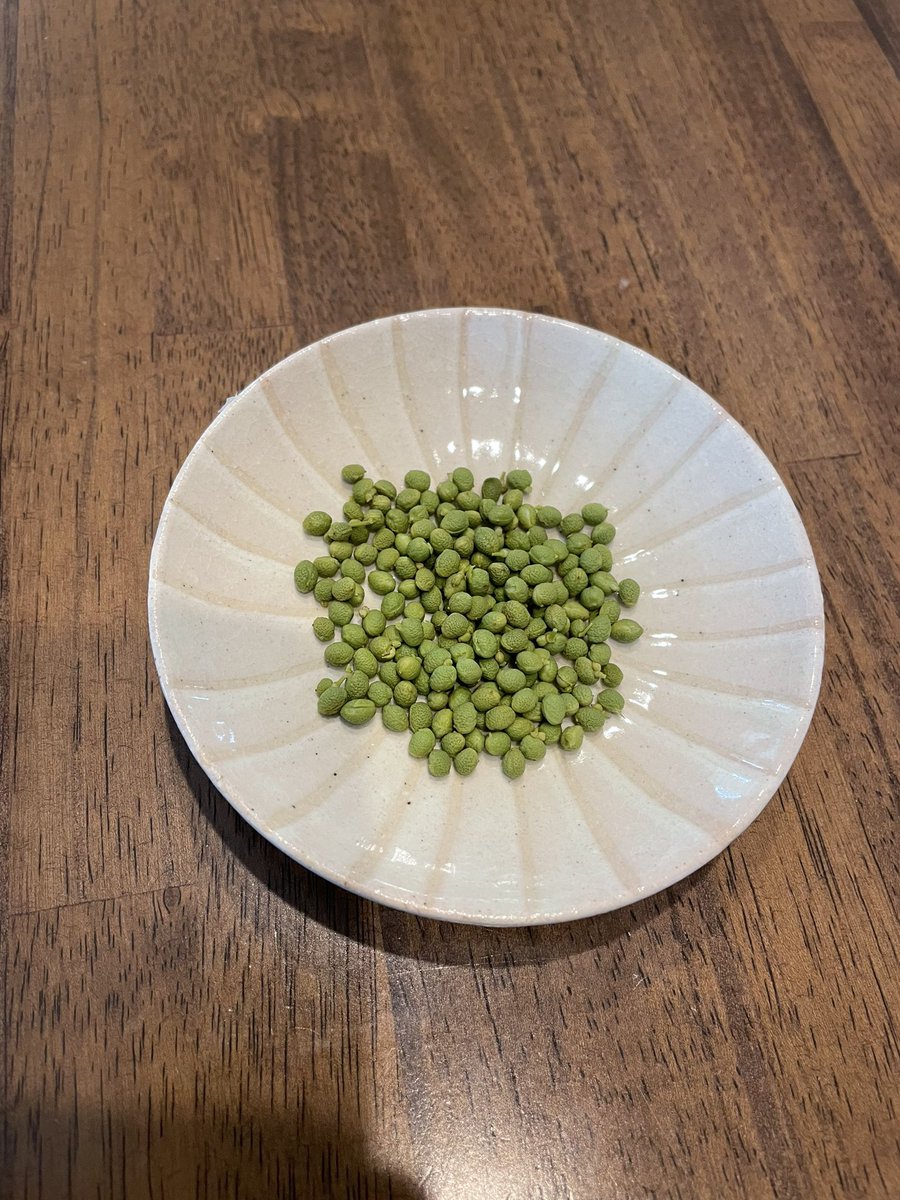 NamiNurse's tweet photo. 先月収穫した実山椒🌿青々した山椒はほんの一瞬の時期にしか収穫できないと聞いた。
お日様いっぱい浴びて育った恵みを頂ける幸せ😌 https://t.co/jbF9a7zsTC