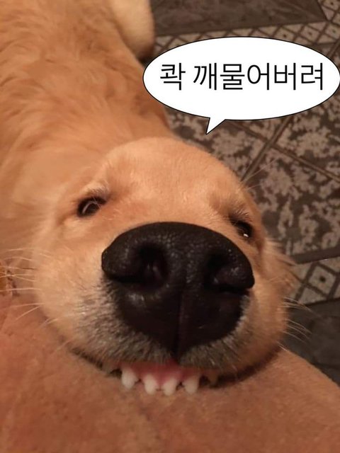 쟈쟈 (@zztbxx) on Twitter photo 