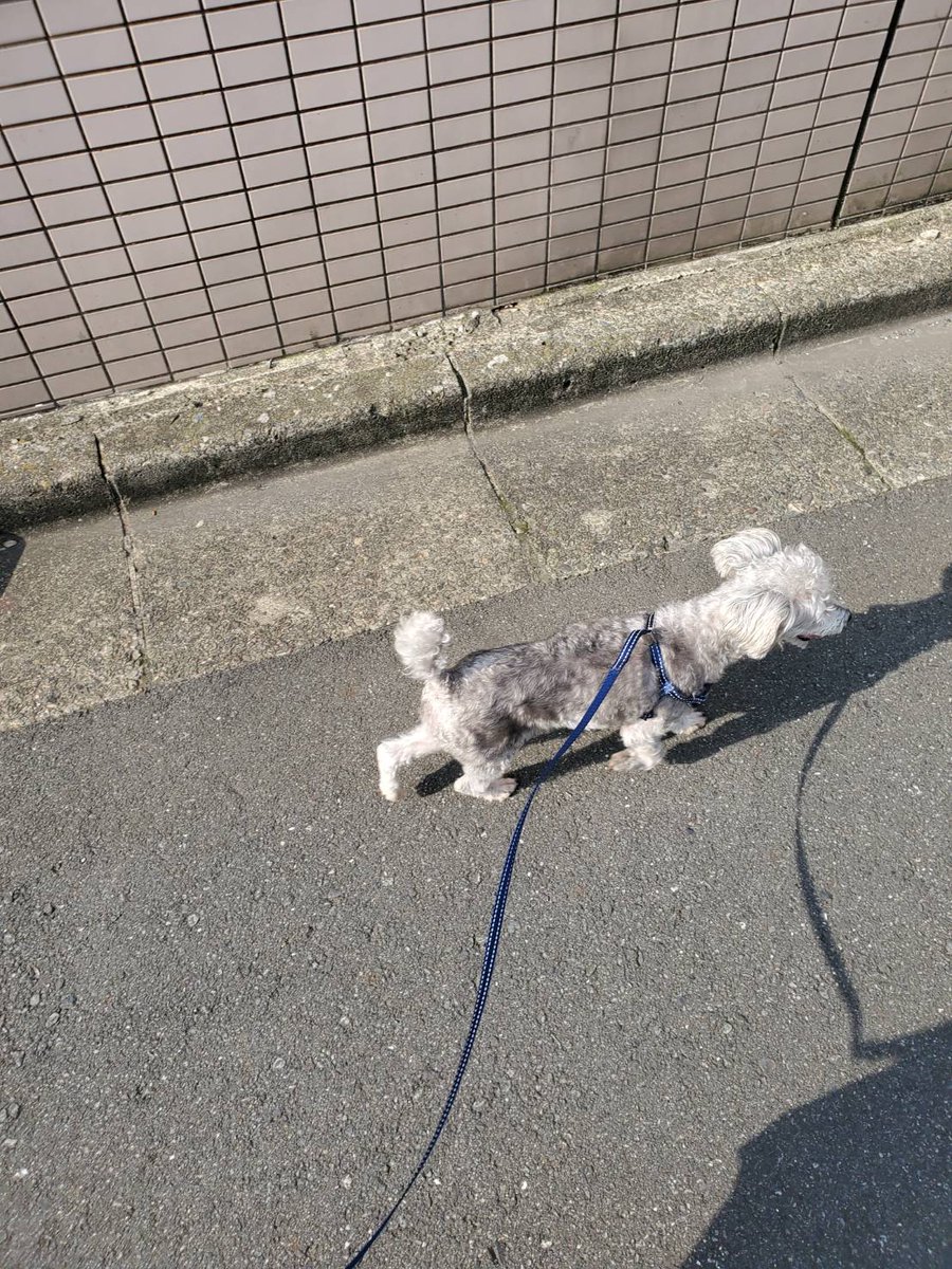 バム tweet media