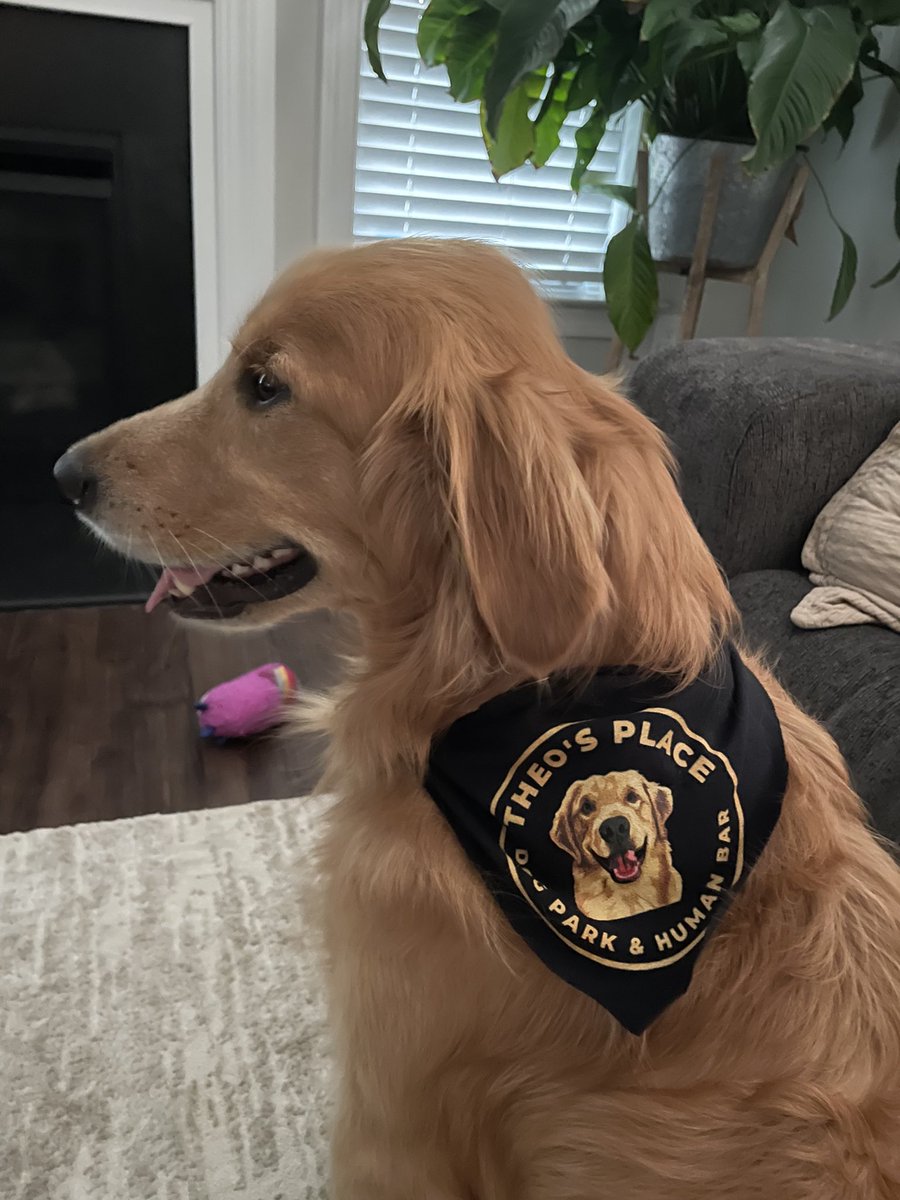 The EGLDen Retriever - Minting Now!! tweet media