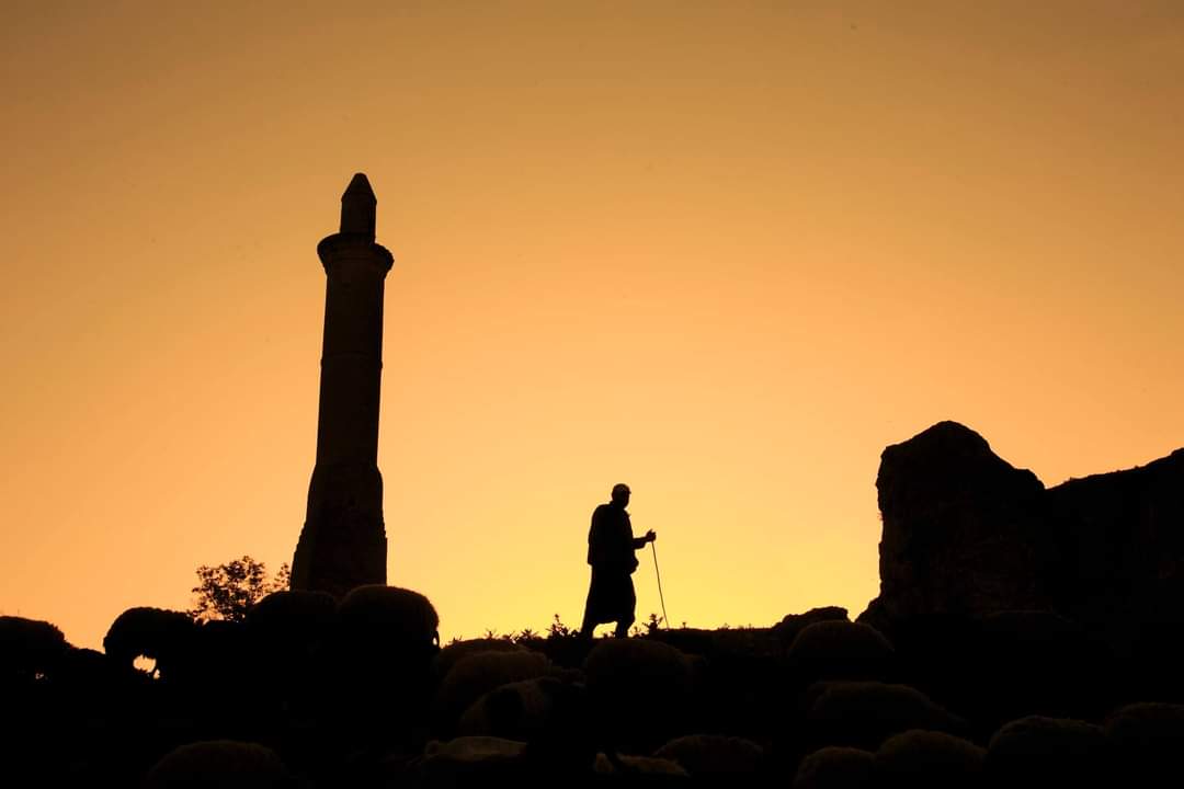 rehberhalil's tweet photo. Dünyada yaşamanın ağırlığını taşıyoruz... 

Aklımızın almadığı, kalbimizin kabul etmediği birçok biçimsizliğe şahitlik ediyoruz...

Müslim COŞKUN | Muhit Dergisi
@muslim_coskun @muhitdergi https://t.co/rZ5GOIBiV6