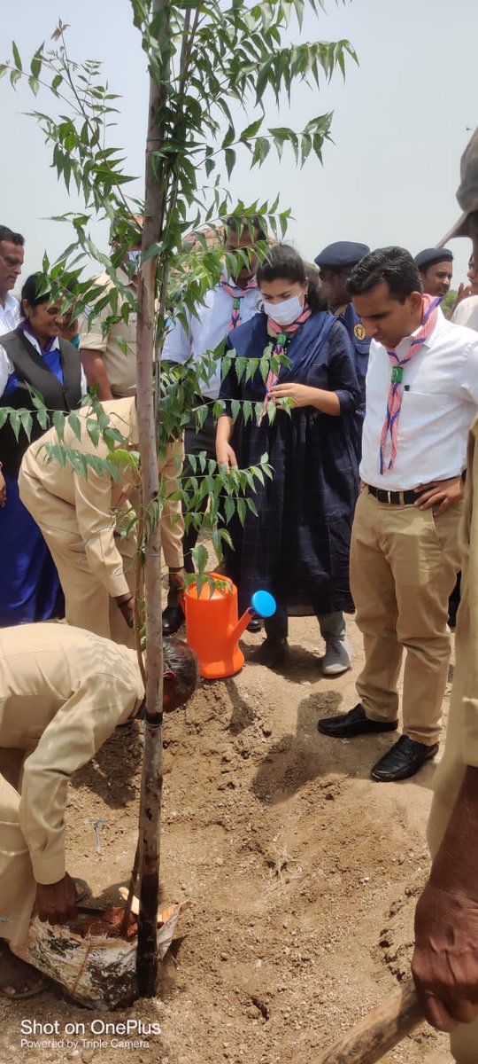 DcfForest's tweet photo. ಕೊಪ್ಪಳ ಪ್ರಾದೇಶಿಕ ಅರಣ್ಯ ವಿಭಾಗ&amp;ಕೋಳೂರು ಗ್ರಾಮದ ಸ್ಕೌಟ್ಸ್ &amp; ಗೈಡ್ಸ್ ಜಿಲ್ಲಾ ತರಬೇತಿ ಕೇಂದ್ರದ ಸಹಯೋಗದೊಂದಿಗೆ ವಿಶ್ವ ಪರಿಸರ ದಿನಾಚರಣೆ ಹಾಗೂ HK ಕಾರ್ಯಕ್ರಮವನ್ನು ಹಮ್ಮಿಕೊಳ್ಳಲಾಯಿತು.ಸದರಿ ಕಾರ್ಯಕ್ರಮದಲ್ಲಿ ಜಿಲ್ಲಾಧಿಕಾರಿಗಳು,ಸಿಇಓ, ನಗರಸಭೆ ಅಧ್ಯಕ್ಷರು,ಗ್ರಾಮ ಪಂಚಾಯತಿ ಅಧ್ಯಕ್ಷರು,ವಿದ್ಯಾರ್ಥಿಗಳು&amp;ಸಿಬ್ಬಂದಿಗಳು ಭಾಗವಹಿಸಿದ್ದರು. https://t.co/4eqtxcNSp1